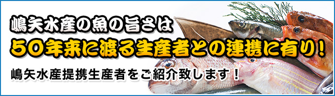 嶋矢水産の魚の旨さは50年来に渡る生産者との連携に有り！嶋矢水産提携生産者をご紹介致します！